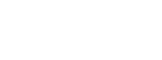 liferay-white logo bianco Liferay